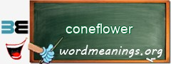 WordMeaning blackboard for coneflower